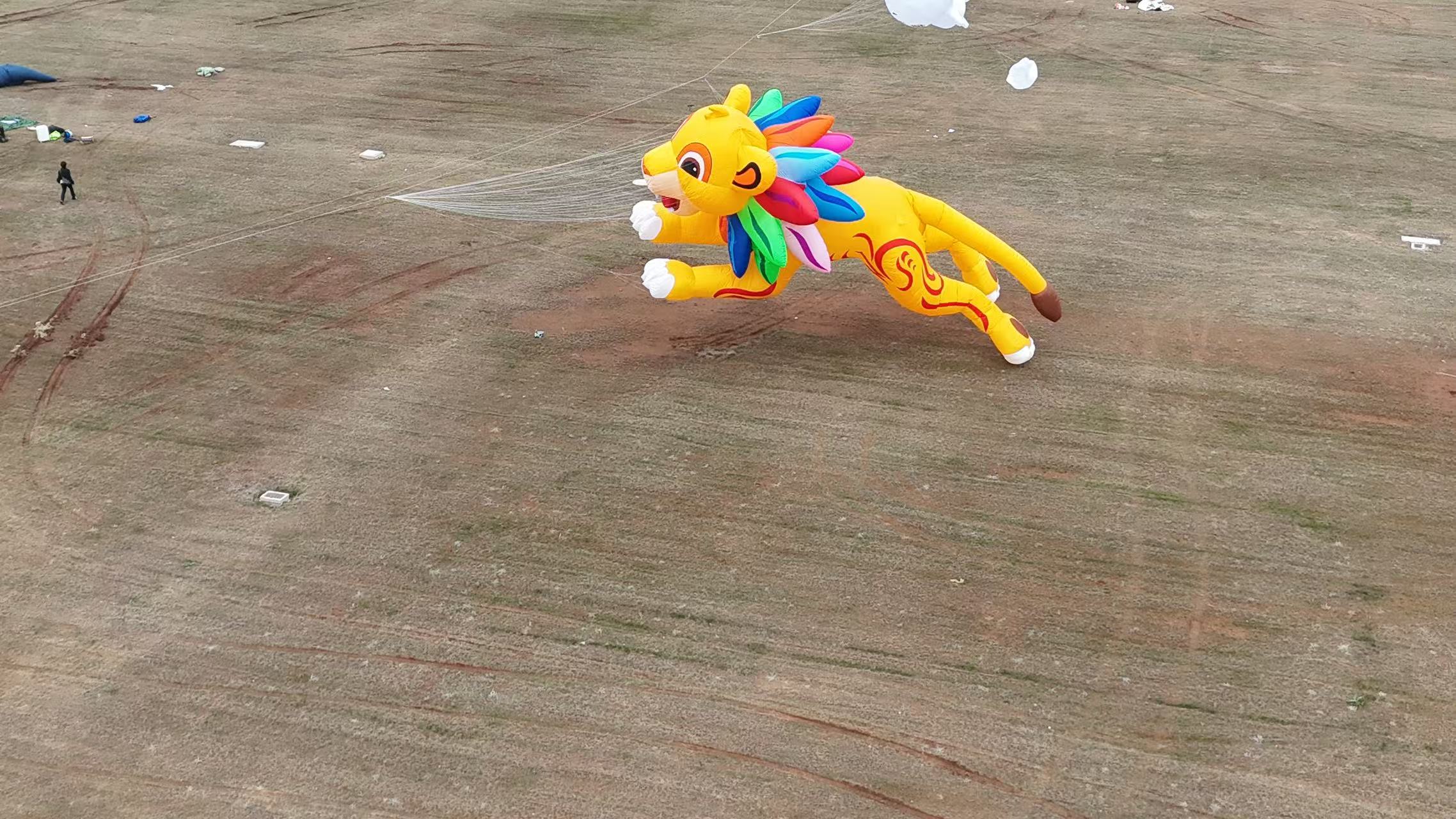 南平市品牌风筝定制风筝定制 - 方案